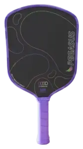 11SIX24 Pegasus Jelly Bean 2 pickleball paddle